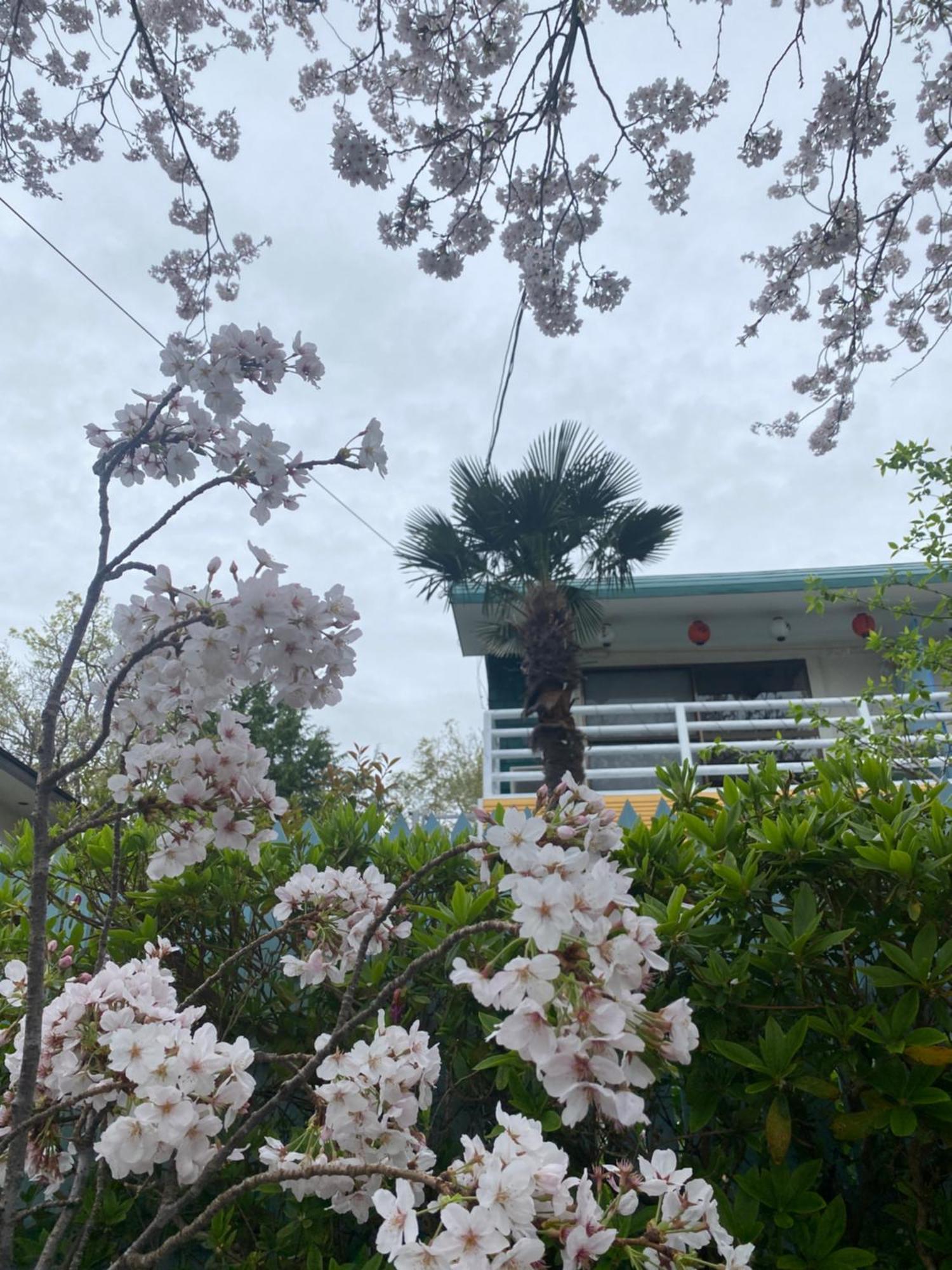 Hanamizuki Onsen Resort 伊東市 エクステリア 写真