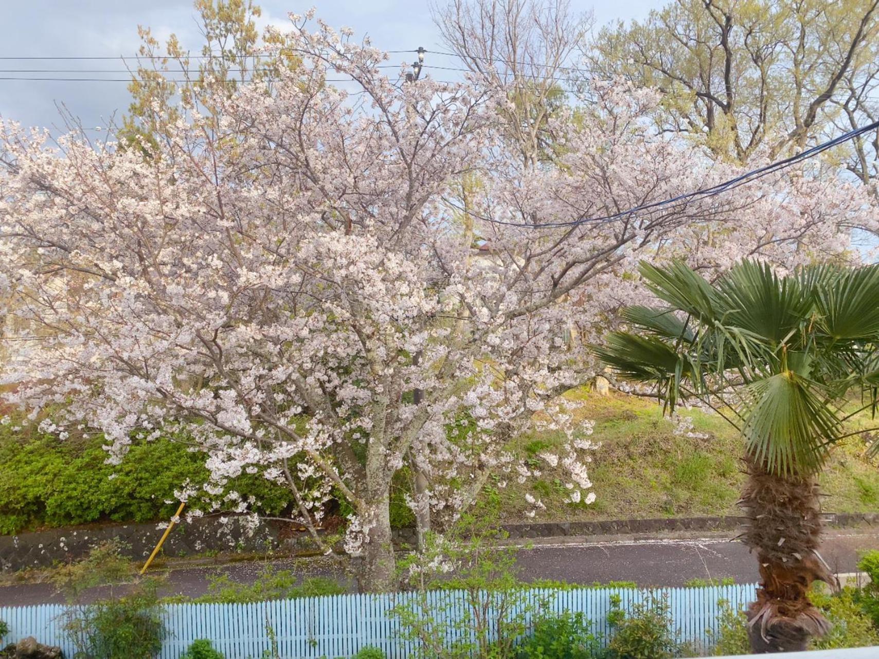 Hanamizuki Onsen Resort 伊東市 エクステリア 写真