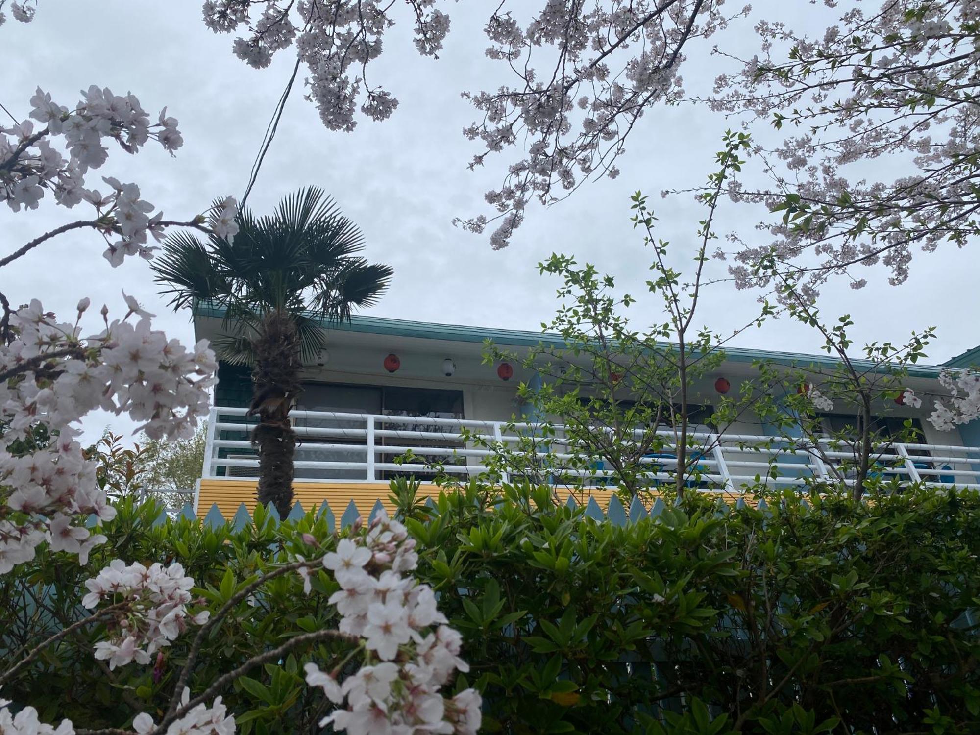 Hanamizuki Onsen Resort 伊東市 エクステリア 写真