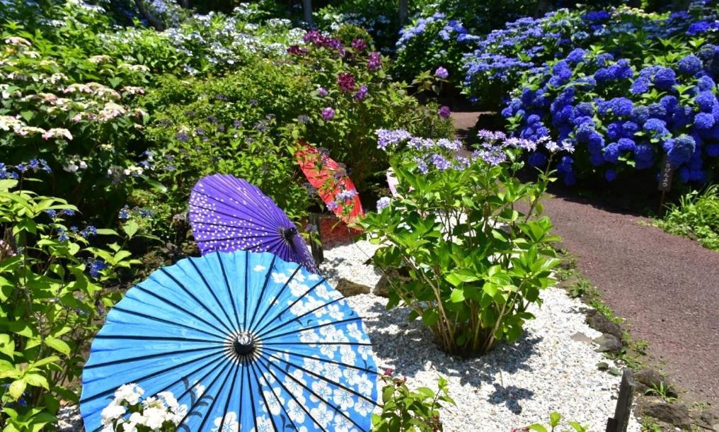 Hanamizuki Onsen Resort 伊東市 エクステリア 写真