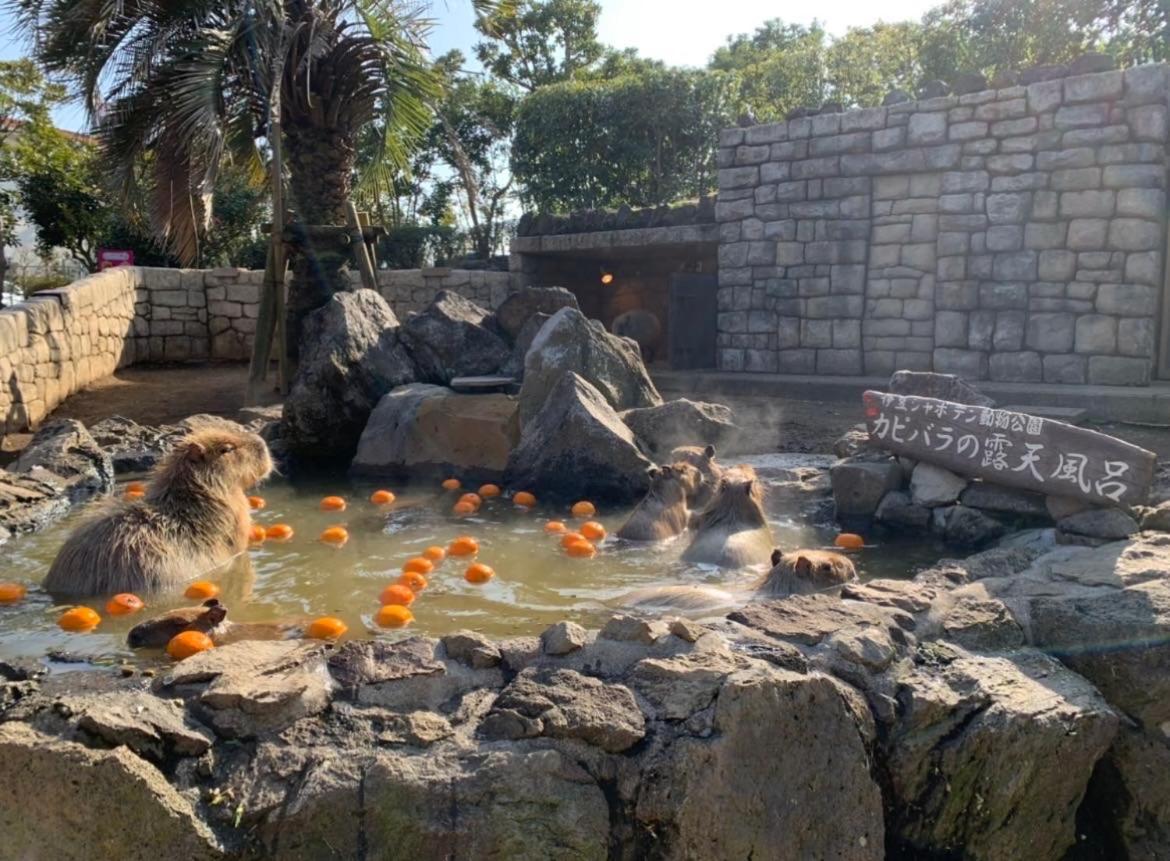 Hanamizuki Onsen Resort 伊東市 エクステリア 写真